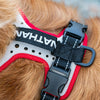 Closeup Shot of Nathan K9 White-Red Dog Harness with Black accents on Dog - no leash