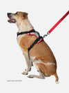 K9 Series Dog Harness