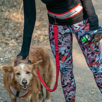K9 Series Runner's Waistbelt with Leash