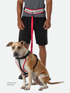 K9 Series Runner's Waistbelt with Leash