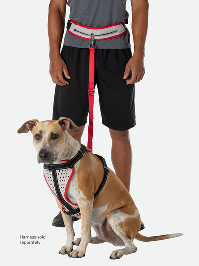 K9 Series Runner's Waistbelt with Leash